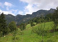 Gasthof Woell Alpbach Exteriér fotografie